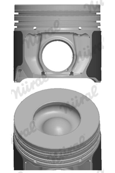 NÜRAL Piston Ford Transit Bus/Transit Body/Transit Platform/Chassis