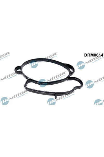 DR.MOTOR AUTOMOTIVE Etansare Carcasa Clapeta Ford Escrt 6/Galaxy 1/Mondeo 2 1...