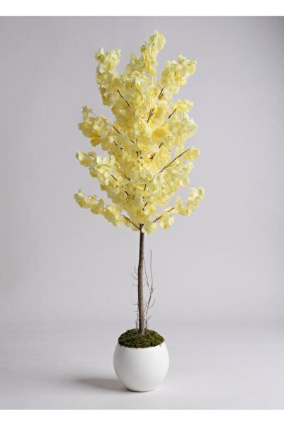 Nettenevime Yapay Ağaç Japon Kiraz Çiçeği Bahardalı Ağacı Beyaz Küre Saksıda ...