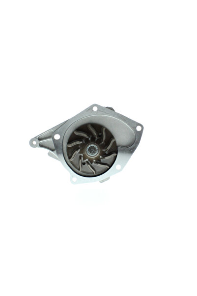 AISIN Water pump, replacement filter set, Renault THALIA II (LU_)