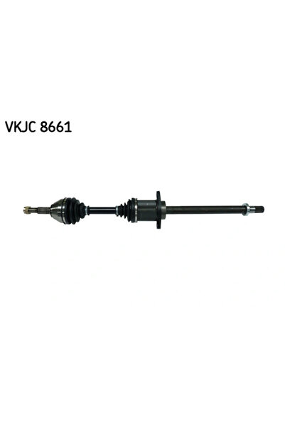 SKF Planetara Nissan Qashqai 1 Renault Koleos 1