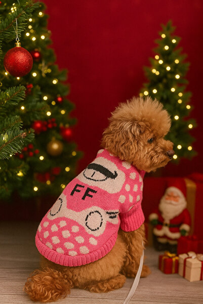 faramiss fashion KÖPEK KIYAFETİ AYICIK DESENLİ PAMUKLU KEDİ VE KÖPEK KAZAK