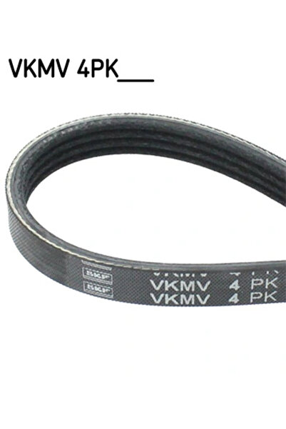 SKF V-ribbed belt FORD FOCUS III 2011-2020