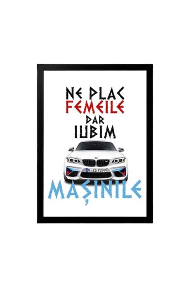 OEM Canvas personalizat pentru entuziaști cu mesajul: Ne plac femeile, dar iu...