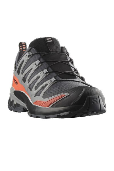 Salomon Xa Pro 3d V9 GORE-TEX Herren Grau Outdoor-Schuhe HERREN OUTDOOR-SCHUHE L47817500