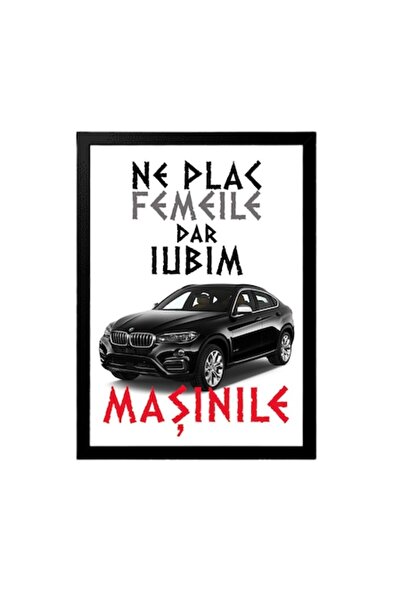 OEM Custom Poster for Car Enthusiasts with Message: We Like Women but Love Cars, Model X6, Betaprint, Bl
