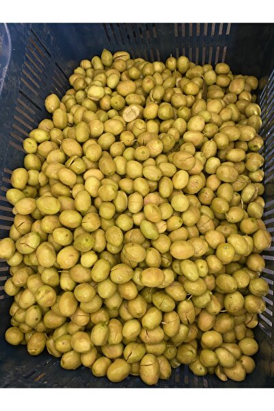 mut incisi zeytin & zeytinyağı Sarı Ulak Cinsi Kendin Tatlandır 2 Adet 5 Litrelik Pet