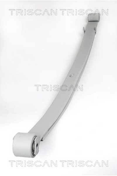 TRISCAN Pachet Arc Cu Foi Puntea Spate Citroen Jumper 2 Bus/Jumper 2 Caroseri...