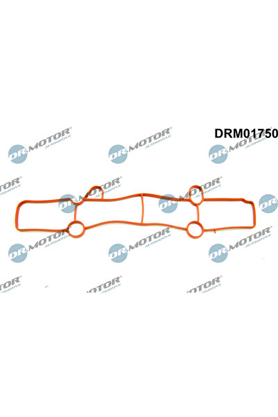 DR.MOTOR AUTOMOTIVE Garnitura Galerie Admisie Iesire Ford C-Max 2/Focus 3/Gal...