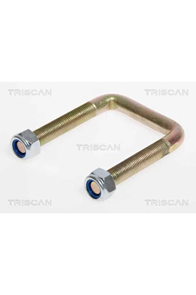 TRISCAN Brida Arc Ford Transit Tourneo Bus/Transit Bus/Transit Caroserie