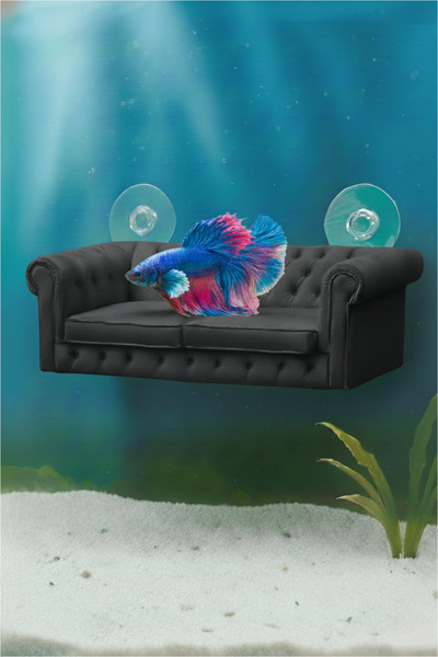 MD×JOA Beta Dinlenme Alanı ⍯ Koltuk Şeklinde ⍯ Balık Yuvası Beta Halfmoon Üre...