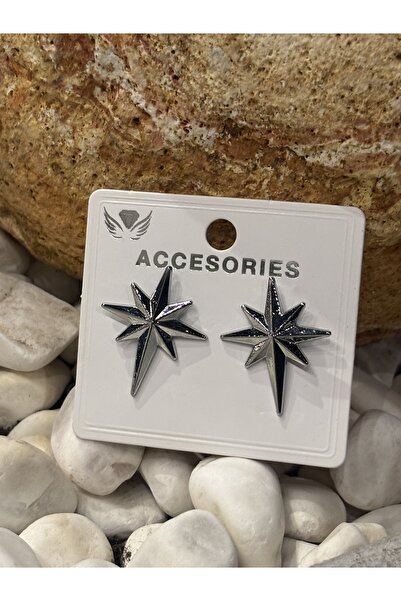 Polar Star Women's Gold & Silver Earrings