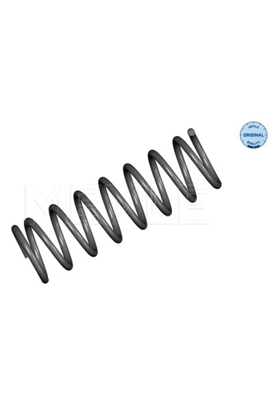 MEYLE Arc Spiral Puntea Spate Ford Focus 1