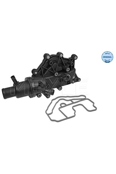 MEYLE Termostat Lichid Racire Renault Clio 2/Laguna 2