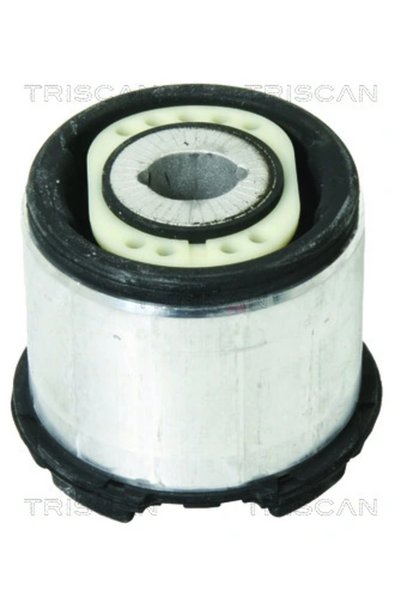 TRISCAN Suport Ax Audi A6 Allroad C6/A6 C6