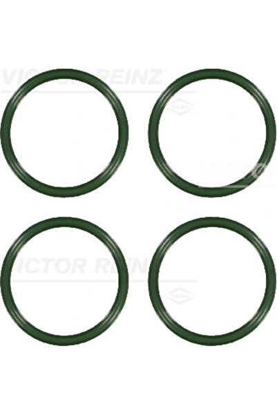 VICTOR REINZ Set Garnituri Galerie Admisie Citroen Saxo/Xsara Citroen (Df-Psa...