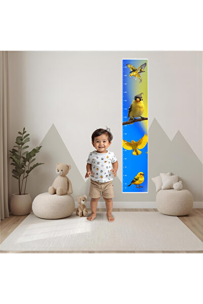 fotoev Boycetveli̇ Kanarya