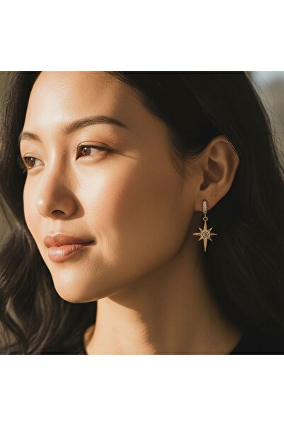 POKAK 316L Kutup Yıldızı Zirkon Taşlı Paslanmaz Çelik Küpe