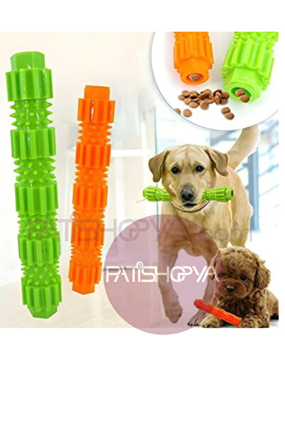 PATİSHOPYA Kauçuk Ödül Hazneli Diş Kaşıma Oyuncağı Orta Boy Dayanıklı Köpek Çiğneme Oyuncağı