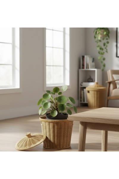CHEMDLE Kapaklı Hasır Sepet Üçlü Set – Doğal Dekoratif ve Düzenleyici