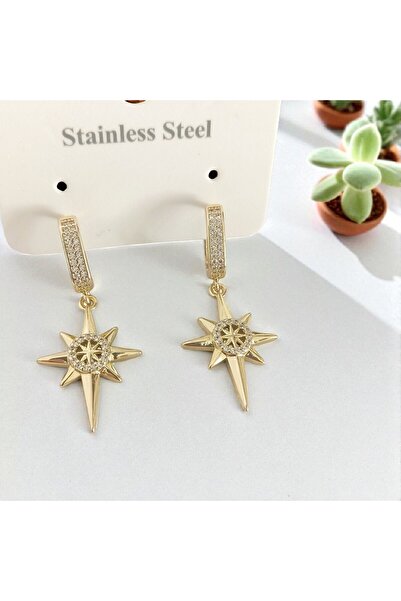 POKAK 316L Kutup Yıldızı Zirkon Taşlı Paslanmaz Çelik Küpe