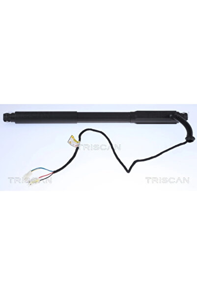 TRISCAN Amortizor Portbagaj Bmw X5