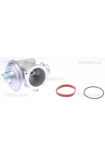 TRISCAN Supapa Egr Bmw 3/5/7