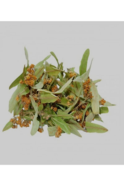 Doğa Aktar Yaprak ıhlamur