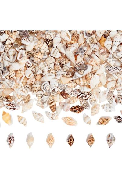 Generic PH PandaHall 1400-1500pcs Sea Shell Beads 7-12mm Tiny Crushed Shells ...