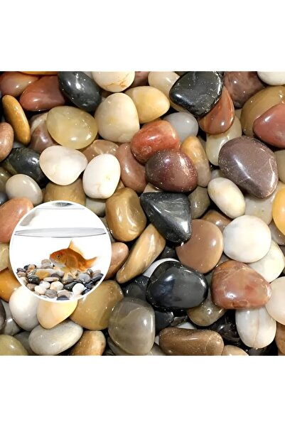 Generic ARABIQO Mix Natural Decorative River Rock Stones 2.5 LB, Garden Beach...