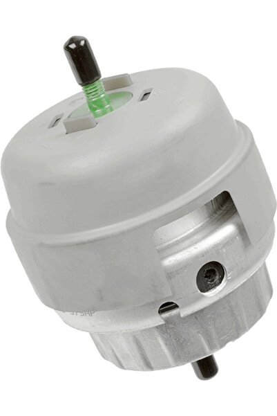 GRAP Suport Motor Stanga Audi A6 Allroad C6/A6 C6