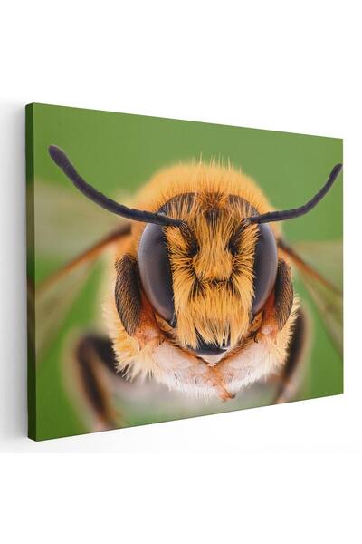 Tablou Canvas Tablou cap albina macro, cod 1905