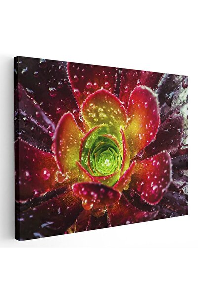 Tablou Canvas Tablou floare cu roua pe petale, detaliu, verde, rosu, cod 1589