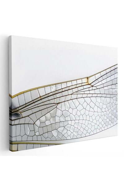 Tablou Canvas Tablou aripa libelula, detaliu, alb, negru, cod 1579