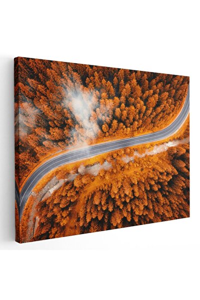 Tablou Canvas Tablou peisaj vedere aeriana padure toamna, maro, galben, cod 1240