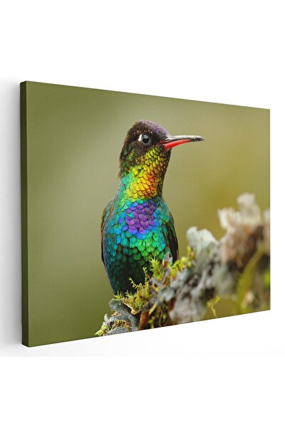 Tablou Canvas Tablou pasare colibri, in natura, cod 1899