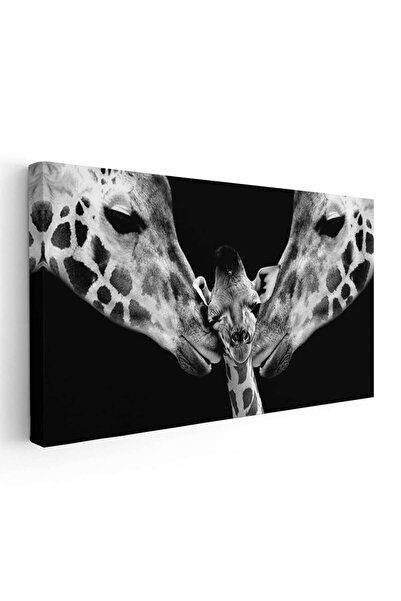 Tablou Canvas Tablou cuplu girafe cu pui, cod 1776