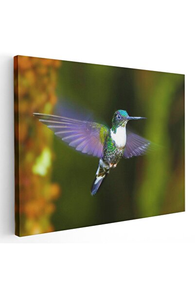 Tablou Canvas Tablou pasare colibri in zbor, mov, verde, cod 1590