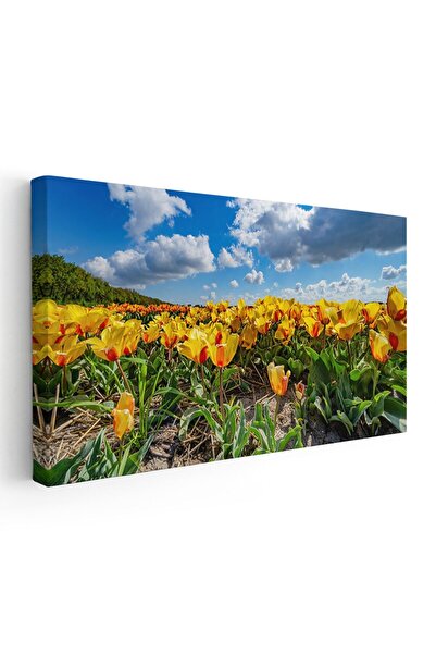 Tablou Canvas Tablou peisaj cu lalele galbene, cod 1790