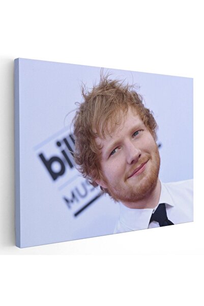Tablou Canvas Ed Sheeran cantaret, cod 2285