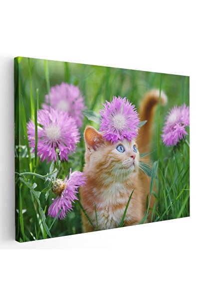 Tablou Canvas Tablou pisica maro printre flori roz, cod 3060