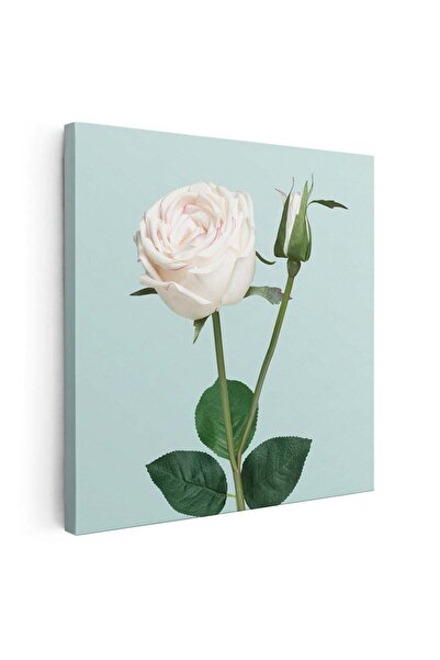 Tablou Canvas Tablou floare trandafir alb, cod 2684