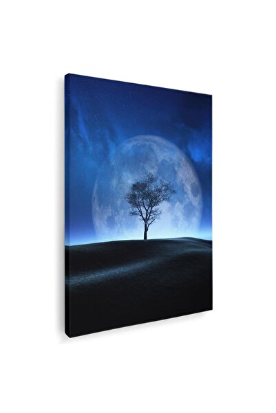 Tablou Canvas Tablou peisaj nocturn cu copac si luna, cod 4521