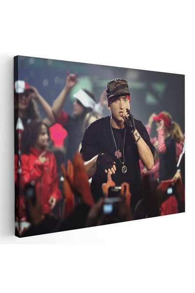 Tablou Canvas Eminem cantaret, cod 2283