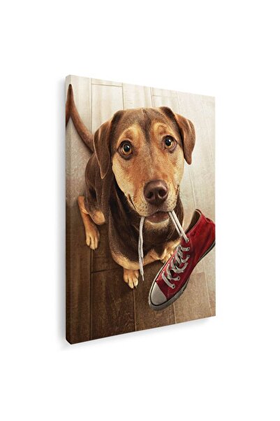 Tablou Canvas Tablou caine cu tenis in gura, cod 4163