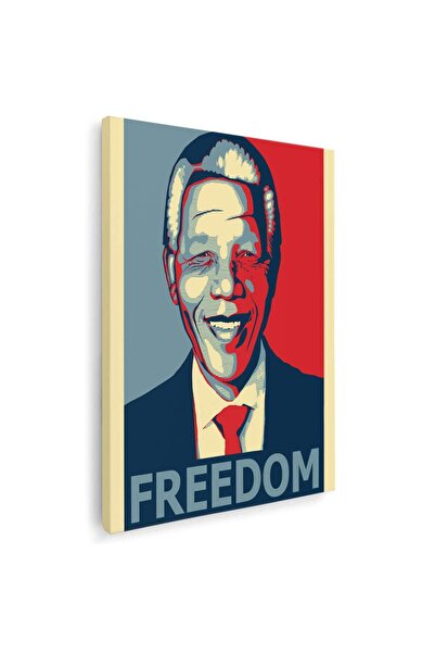 Tablou Canvas Tablou Mandela lider politic, cod 2692
