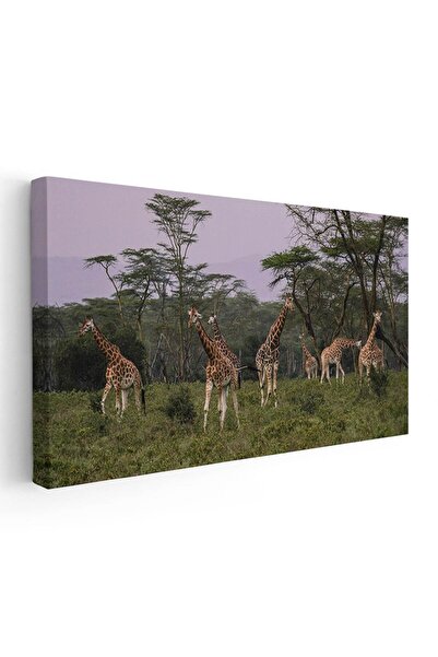 Tablou Canvas Tablou peisaj savana girafe, cod 3210