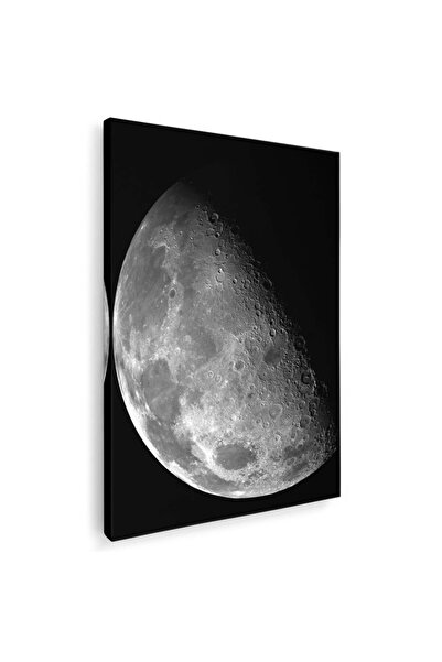 Tablou Canvas satellite photo of the Moon, black and white, code 1276