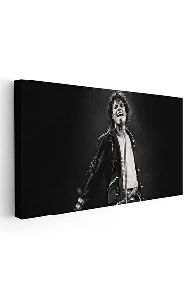 Tablou Canvas Michael Jackson cantaret, cod 2351