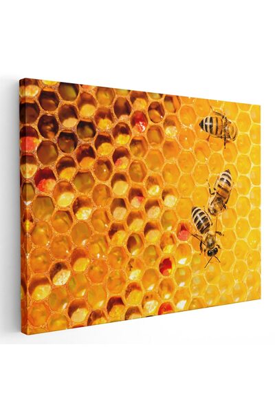 Tablou Canvas Tablou albine pe fagure in stup, cod 1906